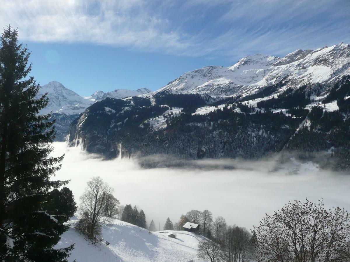 Holiday Flat #1, Chalet Aberot, Wengen, Switzerland Экстерьер фото