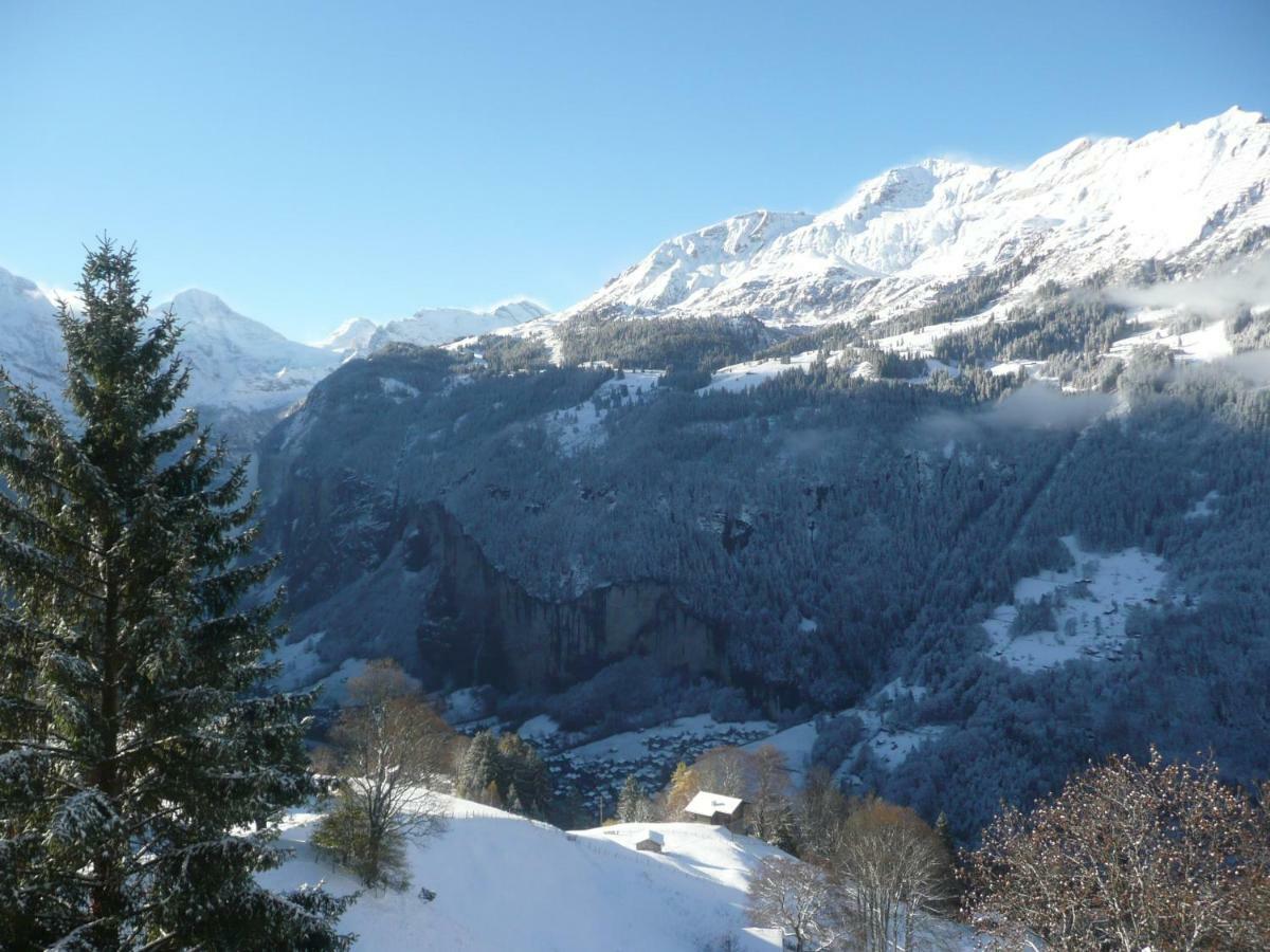 Holiday Flat #1, Chalet Aberot, Wengen, Switzerland Экстерьер фото